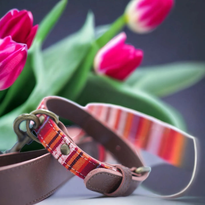 Hundeleine aus Stoff und Kunstleder in Stil mit der Safari Earth - Die StupsnaseHundeleine aus Stoff und Kunstleder in Stil mit der Safari EarthHundeleineDie StupsnaseHundeleine