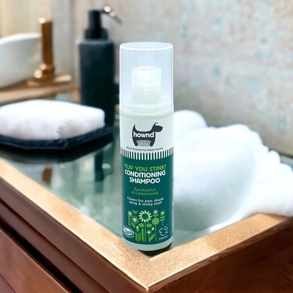 Hundeshampoo mit Eukalyptus und Zedernholz spendet feuchtigkeit *Vegan - Die StupsnaseHundeshampoo mit Eukalyptus und Zedernholz spendet feuchtigkeit *VeganshampooDie Stupsnaseshampoo