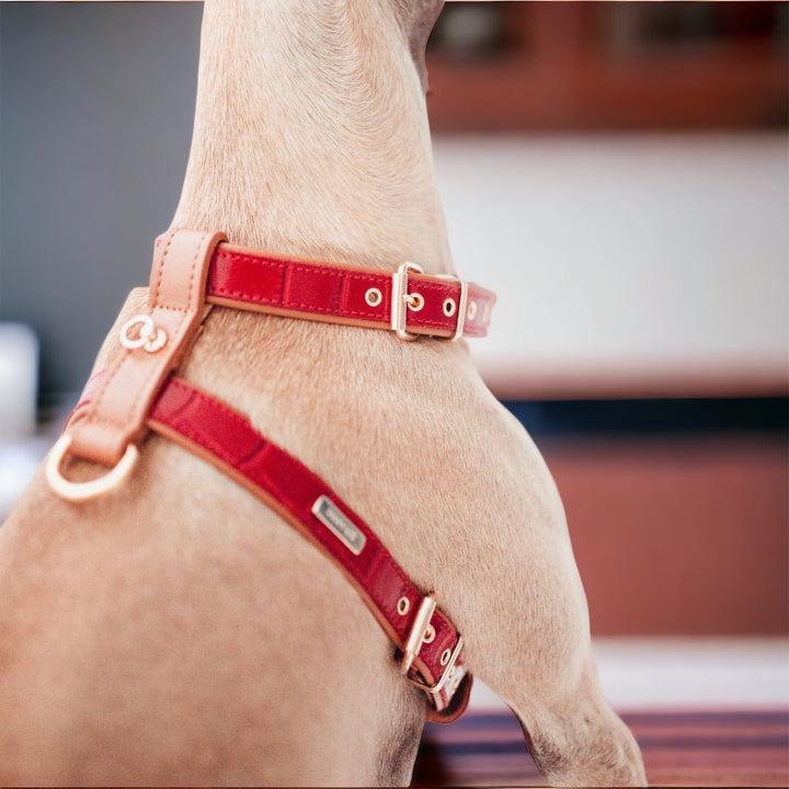 Lia rotes Hundegeschirr aus Leder