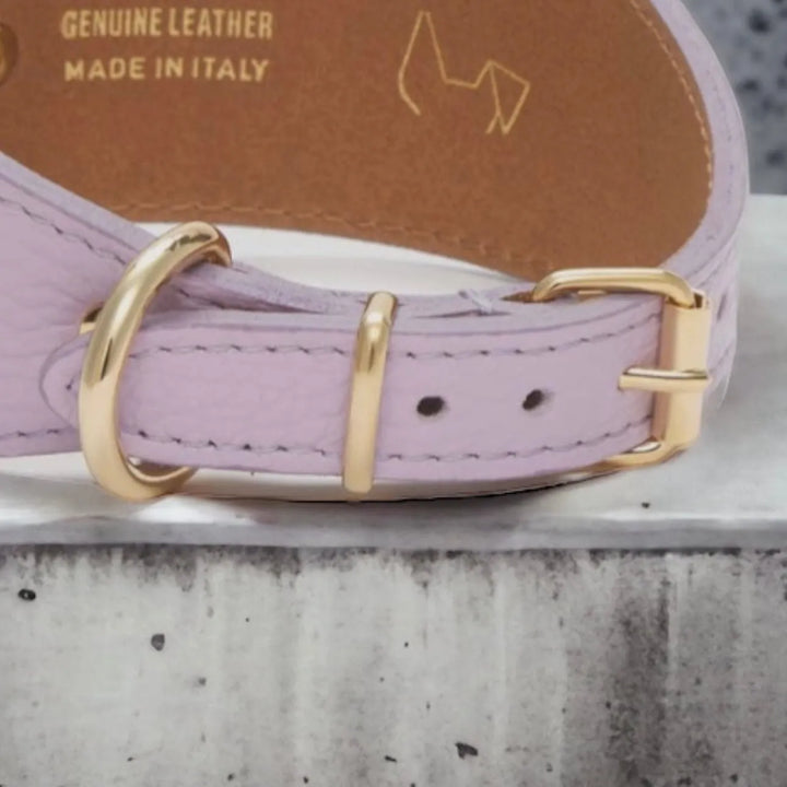 Lila Windhundhalsband aus Leder in Lila - Die StupsnaseLila Windhundhalsband aus Leder in LilaWindhund halsbandDie StupsnaseWindhund halsband