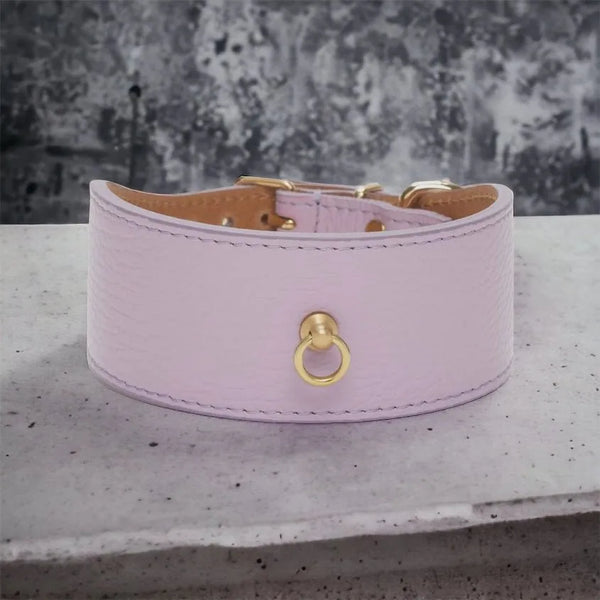 Lila Windhundhalsband aus Leder in Lila - Die StupsnaseLila Windhundhalsband aus Leder in LilaWindhund halsbandDie StupsnaseWindhund halsband