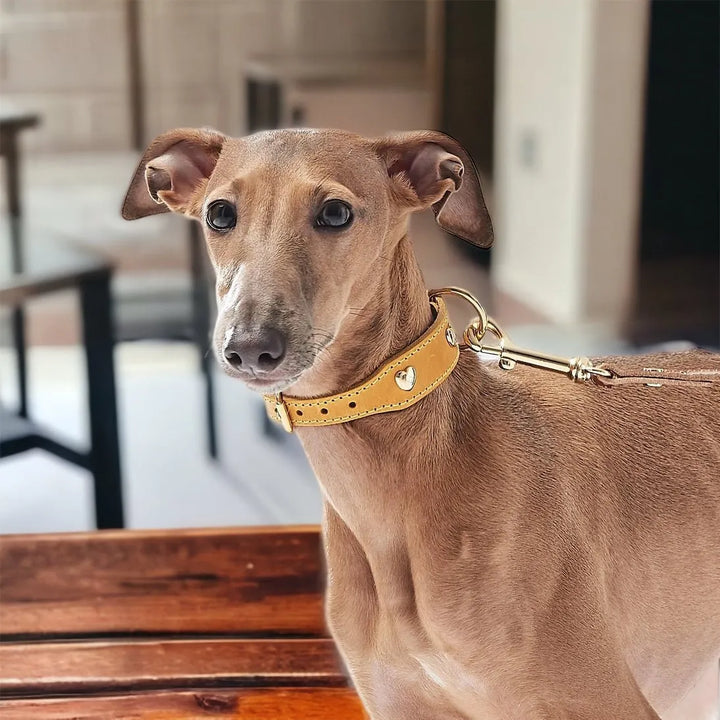 Lily hellbraun Hundehalsband mit Herz aus Leder - Die StupsnaseLily hellbraun Hundehalsband mit Herz aus LederHundehalsbandDie StupsnaseHundehalsband