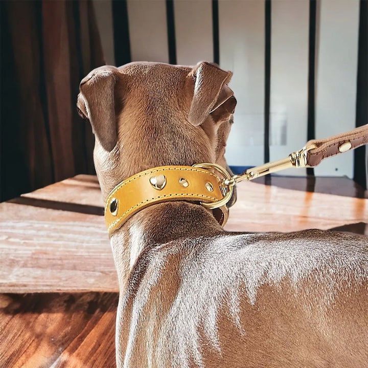 Lily hellbraun Hundehalsband mit Herz aus Leder - Die StupsnaseLily hellbraun Hundehalsband mit Herz aus LederHundehalsbandDie StupsnaseHundehalsband
