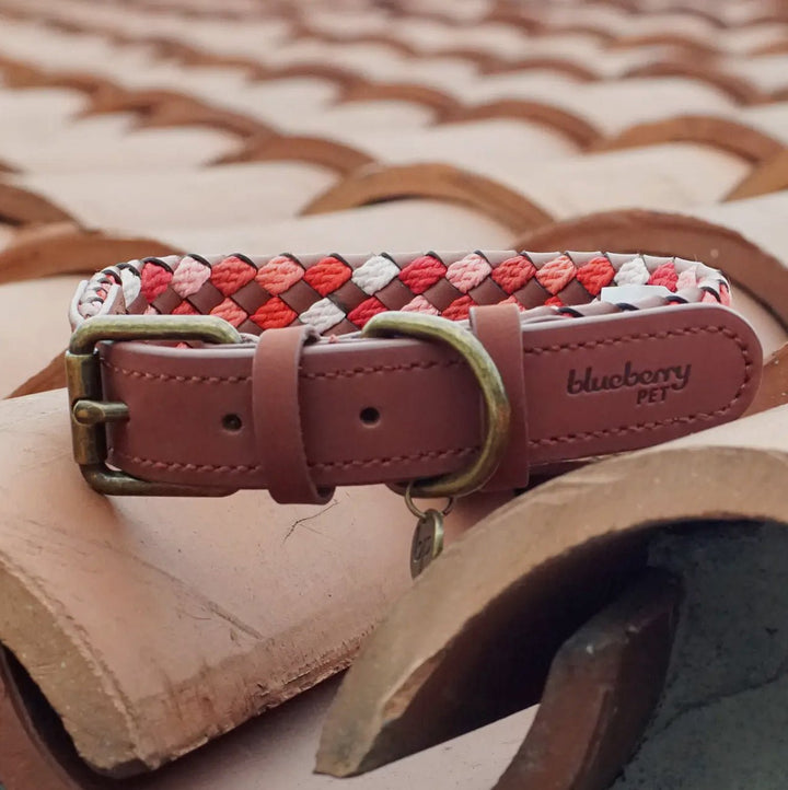 Luxuriöses geflochtenes und Handgemachtes Hundehalsband aus Echtleder – Stilvoll & Robust - Die StupsnaseLuxuriöses geflochtenes und Handgemachtes Hundehalsband aus Echtleder – Stilvoll & RobustHundehalsbandDie StupsnaseHundehalsband