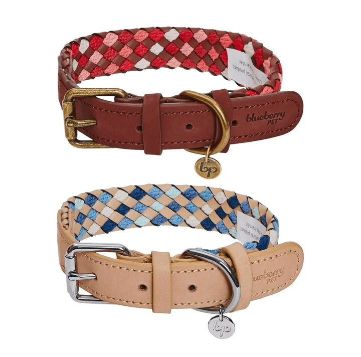 Luxuriöses geflochtenes und Handgemachtes Hundehalsband aus Echtleder – Stilvoll & Robust - Die StupsnaseLuxuriöses geflochtenes und Handgemachtes Hundehalsband aus Echtleder – Stilvoll & RobustHundehalsbandDie StupsnaseHundehalsband