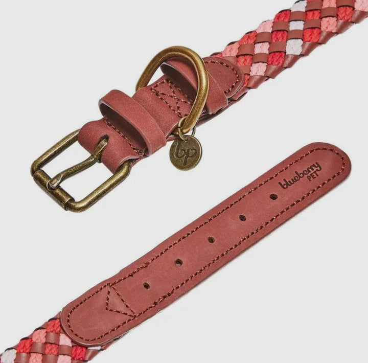 Luxuriöses geflochtenes und Handgemachtes Hundehalsband aus Echtleder – Stilvoll & Robust - Die StupsnaseLuxuriöses geflochtenes und Handgemachtes Hundehalsband aus Echtleder – Stilvoll & RobustHundehalsbandDie StupsnaseHundehalsband