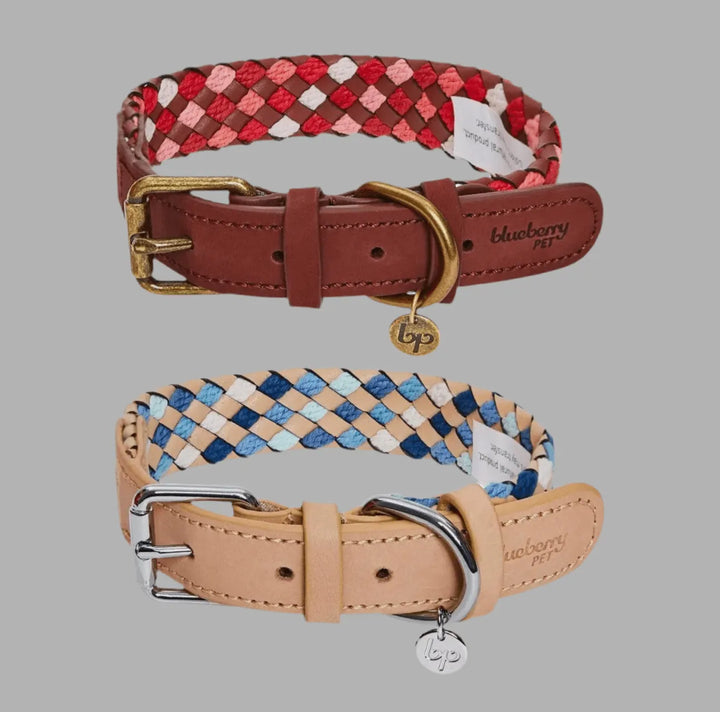 Luxuriöses geflochtenes und Handgemachtes Hundehalsband aus Echtleder – Stilvoll & Robust - Die StupsnaseLuxuriöses geflochtenes und Handgemachtes Hundehalsband aus Echtleder – Stilvoll & RobustHundehalsbandDie StupsnaseHundehalsband