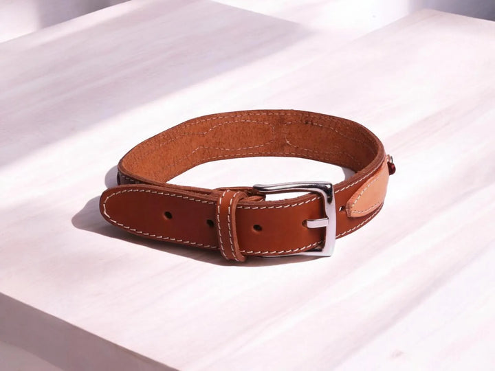 Luxuriöses Handgemachtes Lederhalsband für Hunde – Handgefertigt mit Infinity - Design, Komfort & Stil - Die StupsnaseLuxuriöses Handgemachtes Lederhalsband für Hunde – Handgefertigt mit Infinity - Design, Komfort & StilHundehalsbandDie StupsnaseHundehalsband