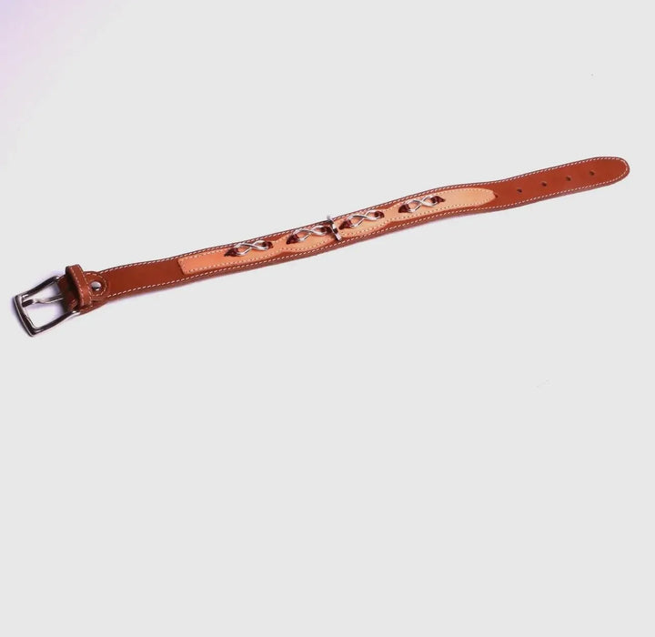 Luxuriöses Handgemachtes Lederhalsband für Hunde – Handgefertigt mit Infinity - Design, Komfort & Stil - Die StupsnaseLuxuriöses Handgemachtes Lederhalsband für Hunde – Handgefertigt mit Infinity - Design, Komfort & StilHundehalsbandDie StupsnaseHundehalsband