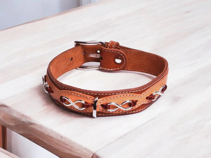 Luxuriöses Handgemachtes Lederhalsband für Hunde – Handgefertigt mit Infinity - Design, Komfort & Stil - Die StupsnaseLuxuriöses Handgemachtes Lederhalsband für Hunde – Handgefertigt mit Infinity - Design, Komfort & StilHundehalsbandDie StupsnaseHundehalsband
