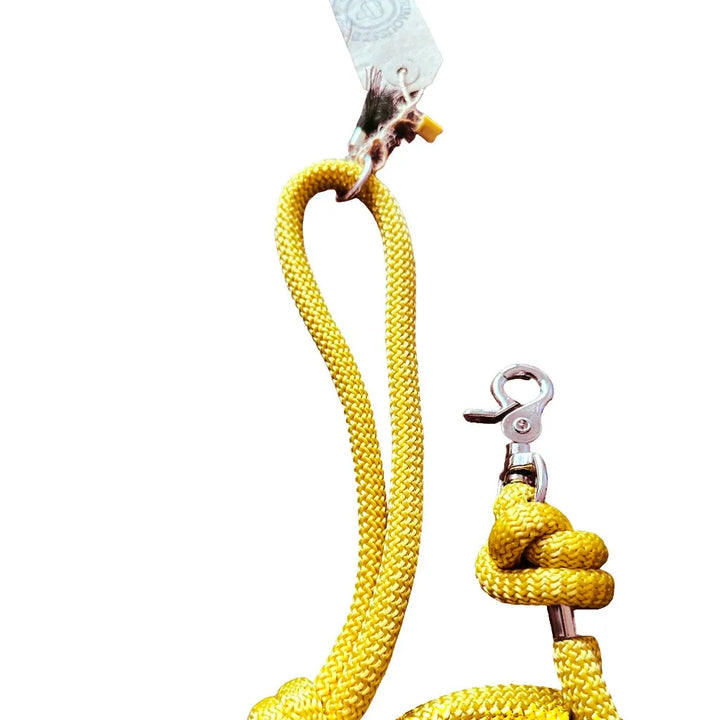 Paracord Hundeleine Mustard - Die Perfekte Kombination aus Funktionalität und Stil - Die StupsnaseParacord Hundeleine Mustard - Die Perfekte Kombination aus Funktionalität und StilHundeleineDie StupsnaseHundeleine
