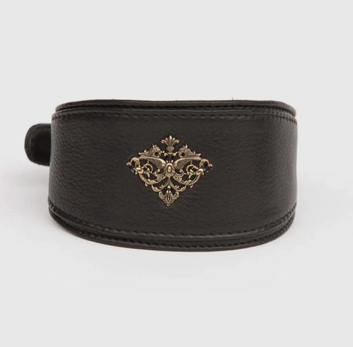 Premium Halsband für Windhund „Black High“ - Die StupsnasePremium Halsband für Windhund „Black High“Windhund HalsbandDie StupsnaseWindhund Halsband