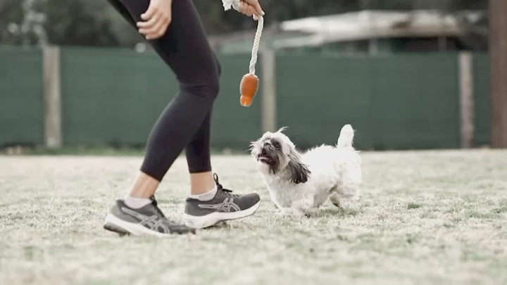 Rub Rugby Hundespielzeug mit Spike & Rope, Größe M - aus 100% natürliches Bio-Harz