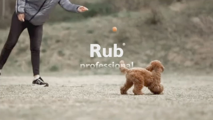 Hundespielzeug Rub Hole - aus 100% natürliches Bio-Harz