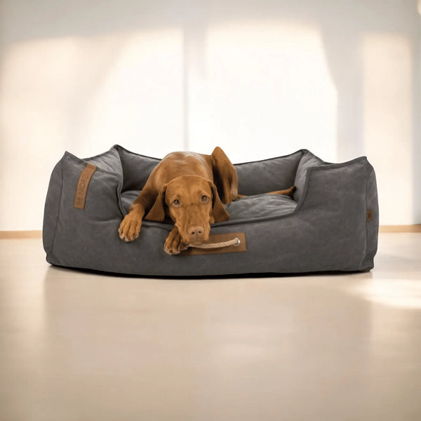 Produktbeschreibung – Hundebett „Be Nordic Dog Basket Fohr“ in Dunkelgrau - Die StupsnaseProduktbeschreibung – Hundebett „Be Nordic Dog Basket Fohr“ in DunkelgrauBETTEN/KÖRBE/KISSENDie StupsnaseBETTEN/KÖRBE/KISSEN
