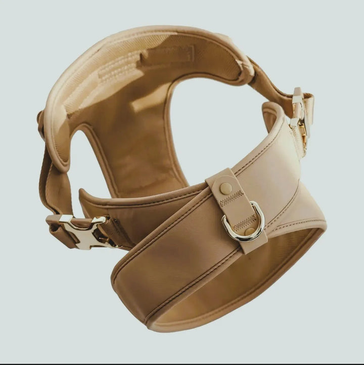 Roam Hundegeschirr (Beige) und Leine Set – Komfort, Stil und Sicherheit für dein Hund - Die StupsnaseRoam Hundegeschirr (Beige) und Leine Set – Komfort, Stil und Sicherheit für dein HundHundegeschirrDie StupsnaseHundegeschirr