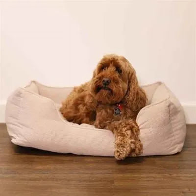 Rosewood 40 Winks Hundebett – Luxuriöser Schlafplatz aus Kordel - Rippenstoff in Beige - Die StupsnaseRosewood 40 Winks Hundebett – Luxuriöser Schlafplatz aus Kordel - Rippenstoff in BeigeBETTEN/KÖRBE/KISSENDie StupsnaseBETTEN/KÖRBE/KISSEN