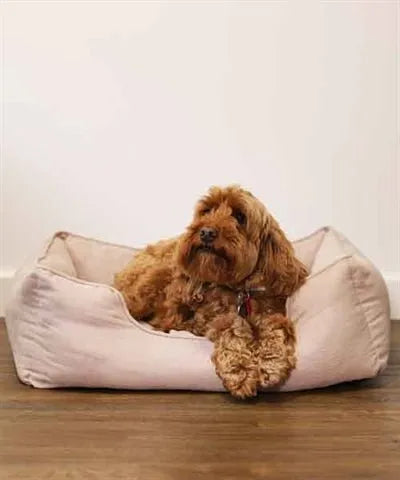 Rosewood 40 Winks Hundekorb Dünner Köper Beige – Weiches und stilvolles Hundebett mit herausnehmbarem Kissen in Beige - Die StupsnaseRosewood 40 Winks Hundekorb Dünner Köper Beige – Weiches und stilvolles Hundebett mit herausnehmbarem Kissen in BeigeBETTEN/KÖRBE/KISSENDie StupsnaseBETTEN/KÖRBE/KISSEN