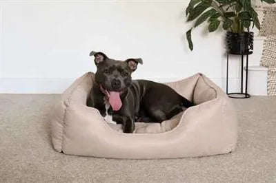 Rosewood 40 Winks Hundekorb Dünner Köper Beige – Weiches und stilvolles Hundebett mit herausnehmbarem Kissen in Beige - Die StupsnaseRosewood 40 Winks Hundekorb Dünner Köper Beige – Weiches und stilvolles Hundebett mit herausnehmbarem Kissen in BeigeBETTEN/KÖRBE/KISSENDie StupsnaseBETTEN/KÖRBE/KISSEN
