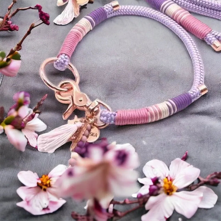 "Rosy Paws - Stilvolles Hundezubehör Set: Hundeleine und Hundehalsband als Tau - Die Stupsnase"Rosy Paws - Stilvolles Hundezubehör Set: Hundeleine und Hundehalsband als TauHundesetDie StupsnaseHundeset