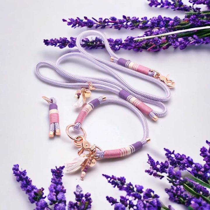 "Rosy Paws - Stilvolles Hundezubehör Set: Hundeleine und Hundehalsband als Tau - Die Stupsnase"Rosy Paws - Stilvolles Hundezubehör Set: Hundeleine und Hundehalsband als TauHundesetDie StupsnaseHundeset