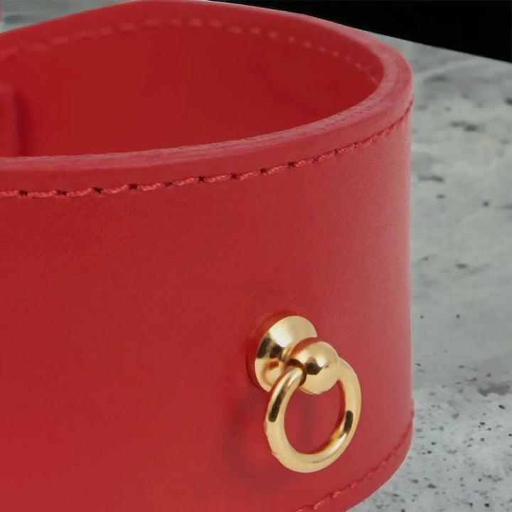 Rotes Windhundhalsband aus Leder - Die StupsnaseRotes Windhundhalsband aus LederWindhund halsbandDie StupsnaseWindhund halsband