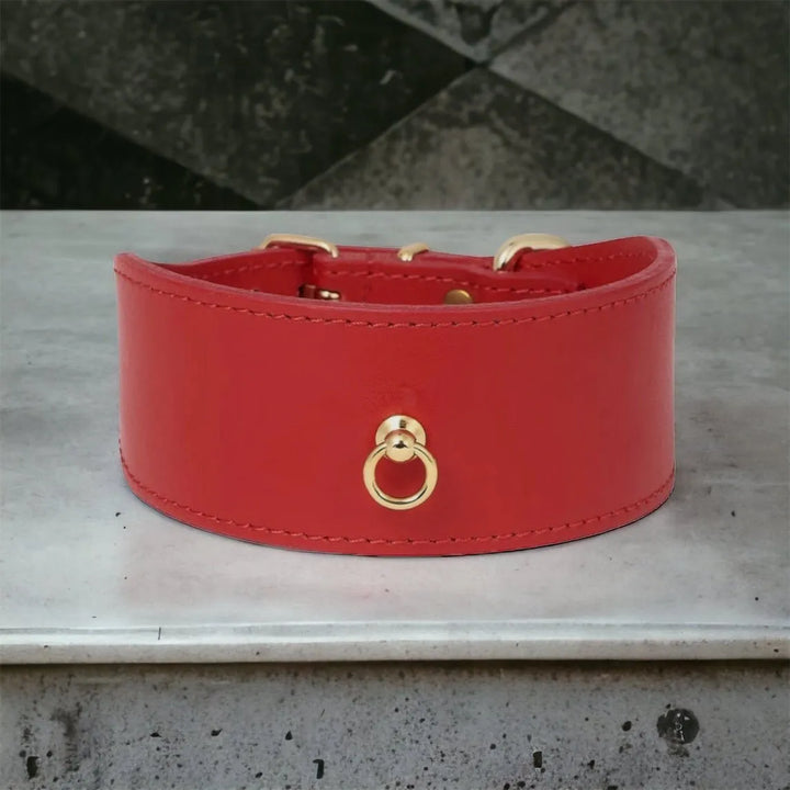 Rotes Windhundhalsband aus Leder - Die StupsnaseRotes Windhundhalsband aus LederWindhund halsbandDie StupsnaseWindhund halsband