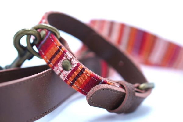 Safari Tierra Hundehalsband im afrikanischen Design aus Stoff und Kunstleder - Die StupsnaseSafari Tierra Hundehalsband im afrikanischen Design aus Stoff und KunstlederHundehalsbandDie StupsnaseHundehalsband