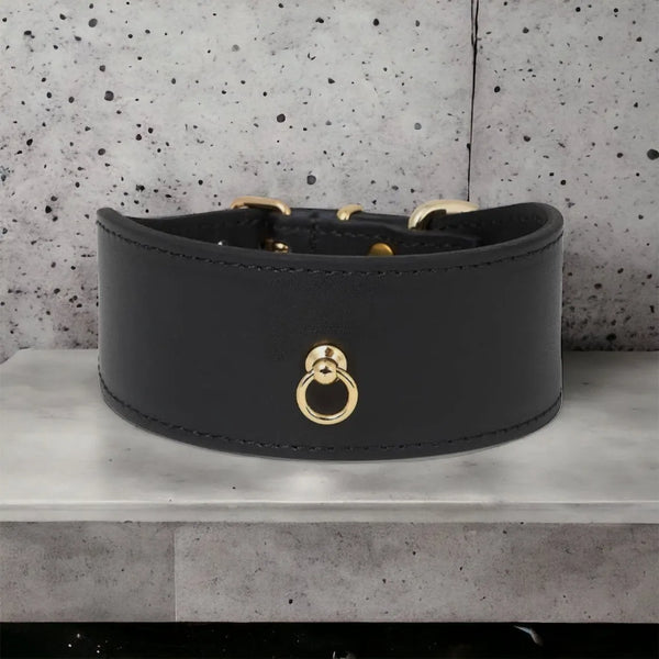 Schwarzes Windhundhalsband aus Leder - Die StupsnaseSchwarzes Windhundhalsband aus LederWindhund halsbandDie StupsnaseWindhund halsband