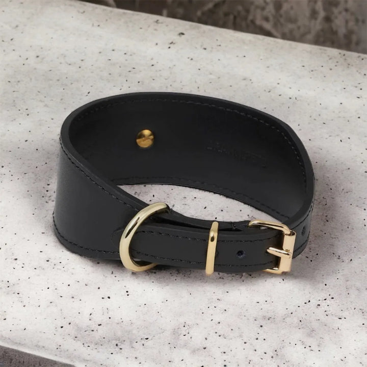 Schwarzes Windhundhalsband aus Leder - Die StupsnaseSchwarzes Windhundhalsband aus LederWindhund halsbandDie StupsnaseWindhund halsband