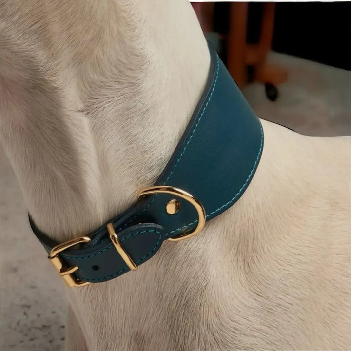 Stilvolles Windhundhalsband aus Leder in Blau - Die StupsnaseStilvolles Windhundhalsband aus Leder in BlauWindhund halsbandDie StupsnaseWindhund halsband