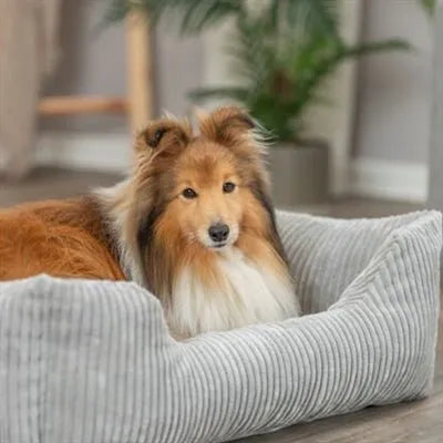 Trixie Hundekorb Vital Jonna Gerippter Samt Grau – Luxuriöses Orthopädisches Hundebett für Höchsten Komfort - Die StupsnaseTrixie Hundekorb Vital Jonna Gerippter Samt Grau – Luxuriöses Orthopädisches Hundebett für Höchsten KomfortBETTEN/KÖRBE/KISSENDie StupsnaseBETTEN/KÖRBE/KISSEN