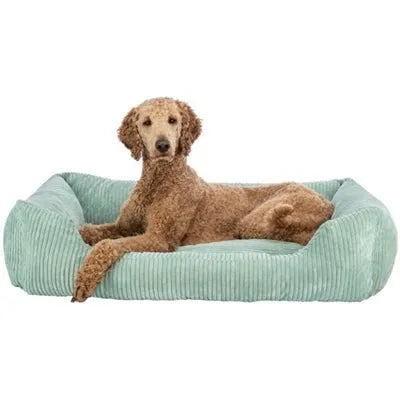 Trixie Vital Hundekorb Jonna Salbeigrün – Orthopädisches Hundebett mit Memory - Foam und Rutschfester Unterseite in Grün - Die StupsnaseTrixie Vital Hundekorb Jonna Salbeigrün – Orthopädisches Hundebett mit Memory - Foam und Rutschfester Unterseite in GrünBETTEN/KÖRBE/KISSENDie StupsnaseBETTEN/KÖRBE/KISSEN