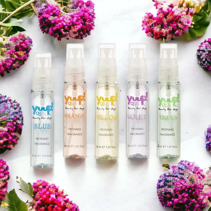 Yuup!® Haustierparfüm "Color your style with fragrance" 30 ml - Die StupsnaseYuup!® Haustierparfüm "Color your style with fragrance" 30 mlHundepflegeDie StupsnaseHundepflege