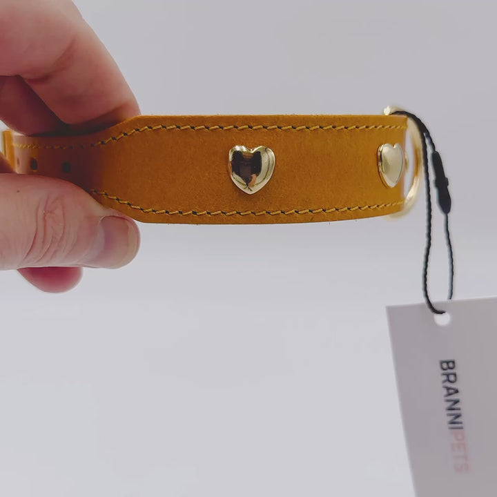 gelbes Halsband mit Herz