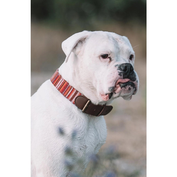 Das Safari Tierra Hundehalsband besteht aus Stoff und Kunstleder in einem afrikanischen Stil mit rötlichen Tönen und orangen Farbringen. Das Halsband ist in verschiedenen Größen erhältlich und bietet Komfort, Langlebigkeit u